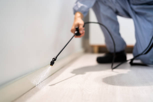 Licensed Termite Control service in Apple Mountain Lake, VA - Nex Pest Control