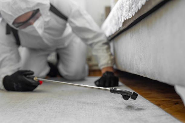 Professional Termite Control technician working in Apple Mountain Lake, VA