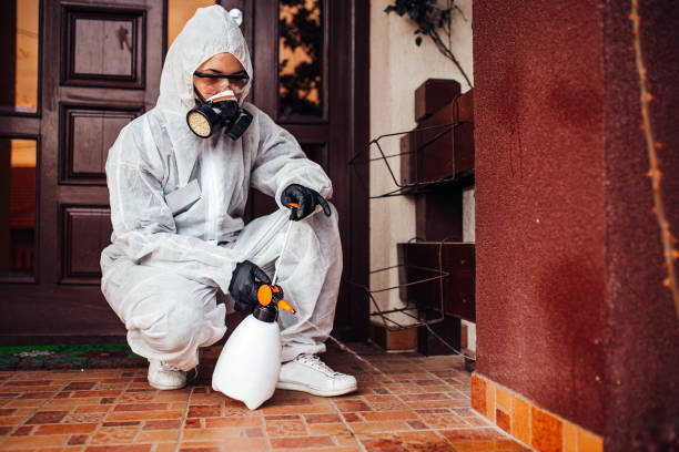 Reliable Termite Control contractor in Apple Mountain Lake, VA by Nex Pest Control