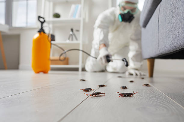 Trusted Termite Control service in Apple Mountain Lake, VA - Nex Pest Control